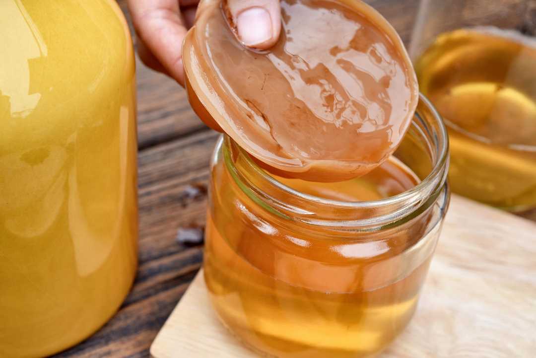 Một số lưu ý quan trọng trong cách dùng trà Kombucha