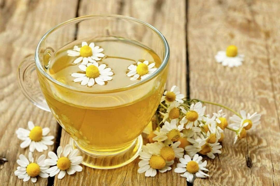 Khi pha trà hoa cúc nên pha với nhiệt độ từ 80 đến 85 độ C